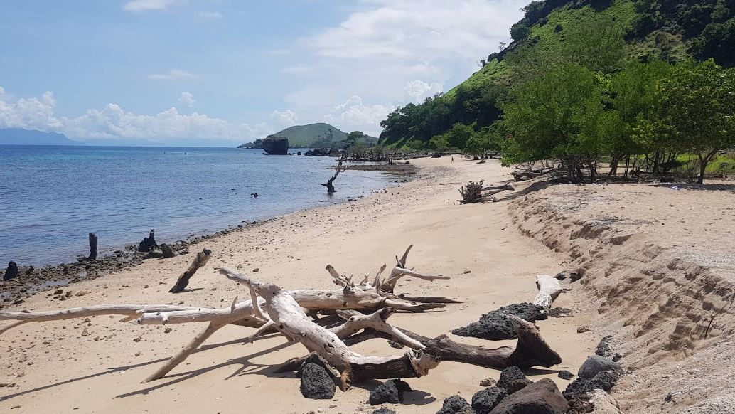 Pantai Tanjung Watu Gogo Flores